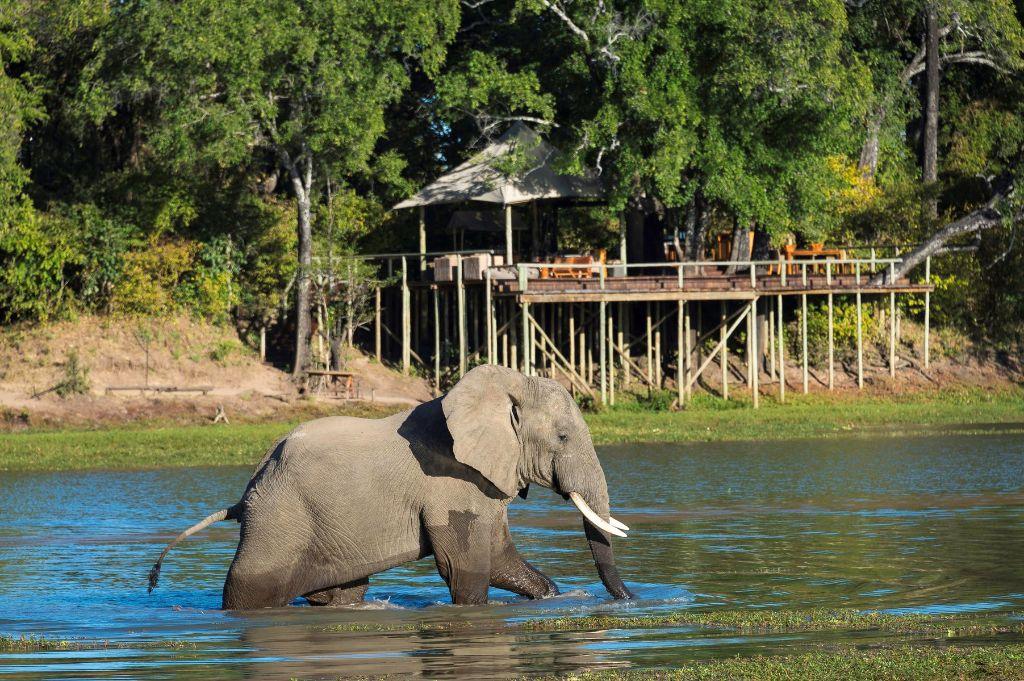 Luxury 8-night Safari Package for 2 to Zambia presen...