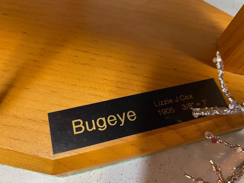 Bugeye Ship Model