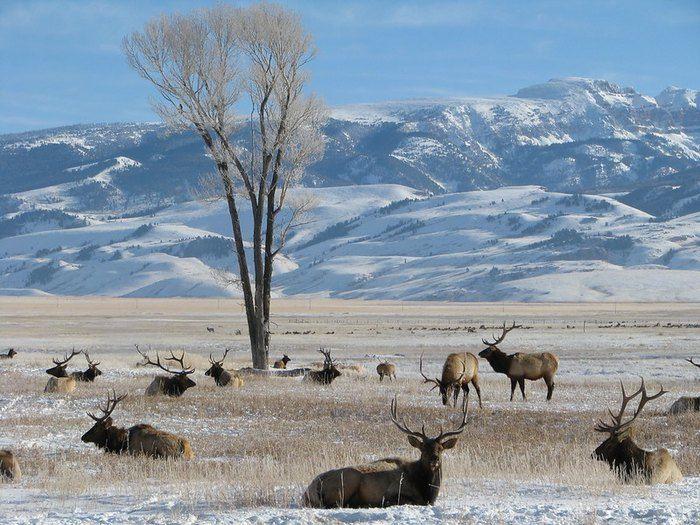 Jackson Hole Wyoming - one week stay at the luxury Hotel Terra