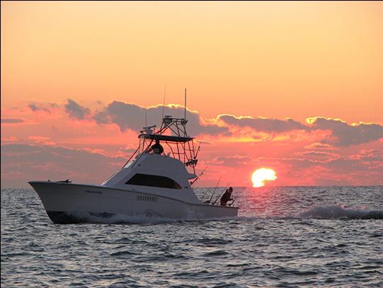 Sunset Cruise and Catered Picnic with Billy Pipkin