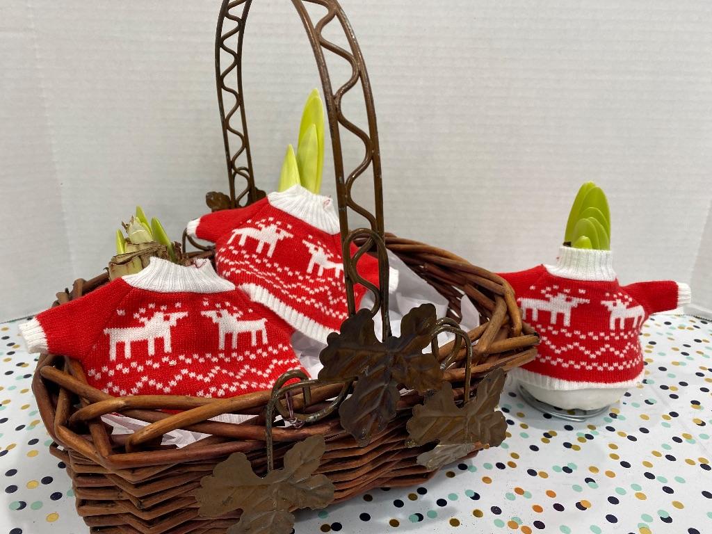 A Basket of Blooming Christmas