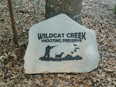 Guided Quail Hunt at Wildcat Creek Shooting Preserve