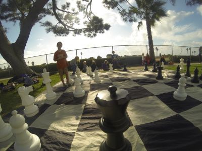 Life Size Chess Party for up to 14 people with Joe, Chess Teacher/Facilitator