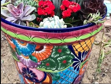 Hand Pained Pot of Succulents -- Bright Colors