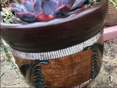 Hand Painted Pot of Succulents -- Natural Brown