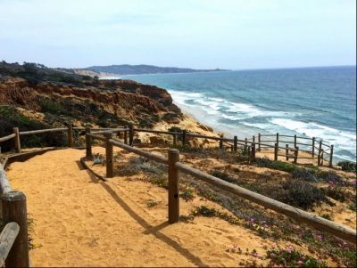 Torrey Pines Hike with Ms Loza