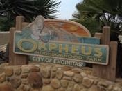 Yoga Lunch Party at Orpheus Park