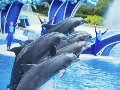 Two Single-Day Admission Tickets to SeaWorld San Diego