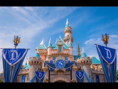 *Two Disneyland Tickets & $230 Gift Card (#2)