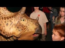 Four (4) Guest Passes to the Natural History Museum or La Brea Tar Pits