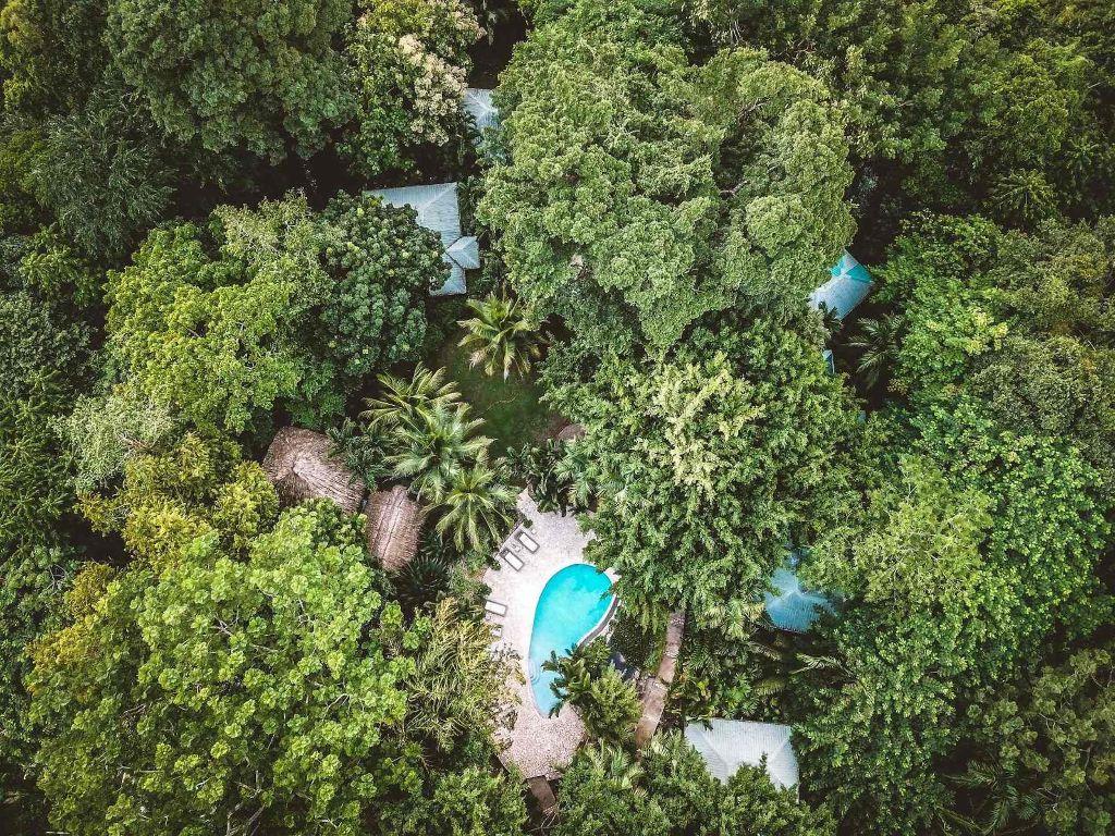 JUNGLE HOLIDAY IN BELIZE