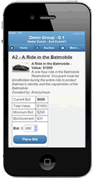 mobile bidding detail page