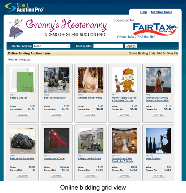 Online bidding screenshot